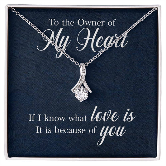 To the owner of my heart Alluring Necklace Perfect Gift for Anniversary, Birthdays and Holiday Gift