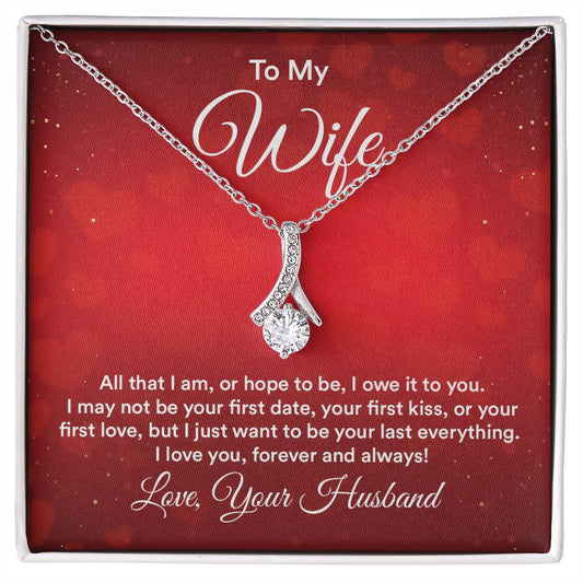 To my wife - all that i am Alluring Necklace Perfect Gift for Anniversary, Birthdays and Holiday Gift